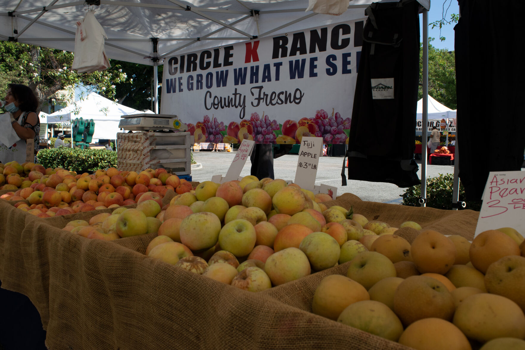 Apples